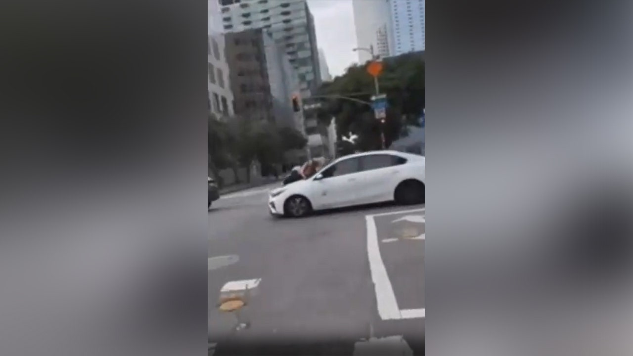 Une vidéo montre une femme agrippée au capot d'une voiture après que des voleurs lui ont volé son bouledogue français.