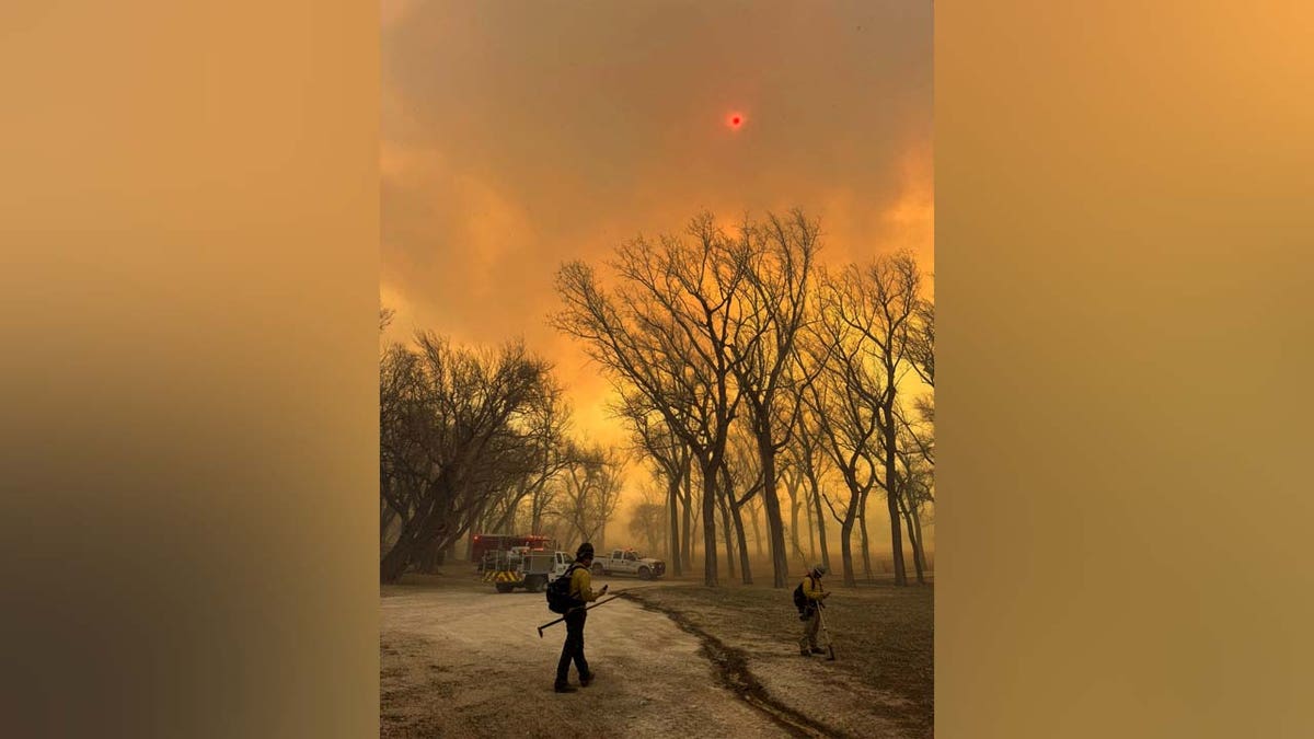 Membres de l'équipe Wildland