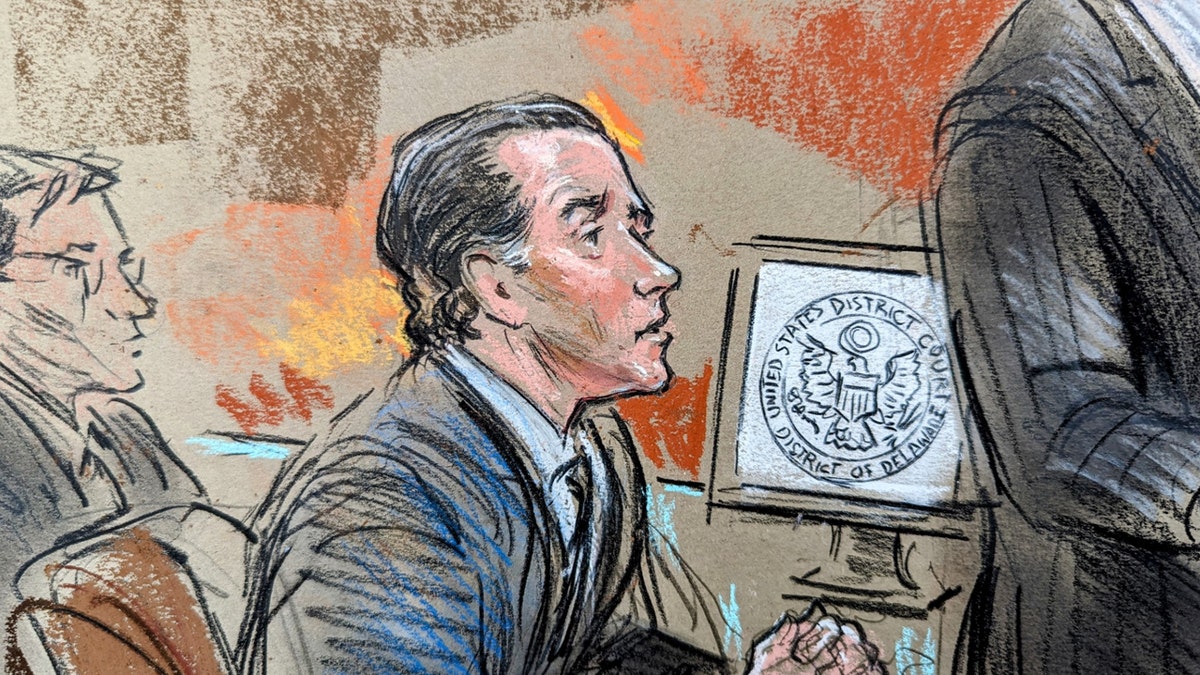 Hunter Biden dans un croquis de la salle d'audience du Delaware