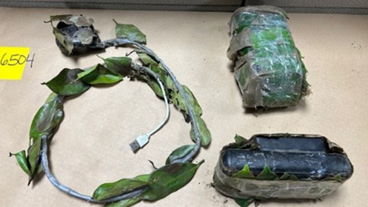 équipement de surveillance camouflé