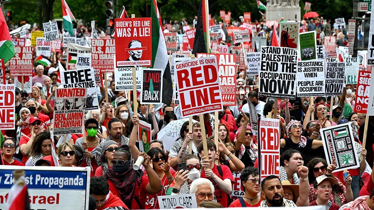 Les manifestants se réunissent à Washington, DC