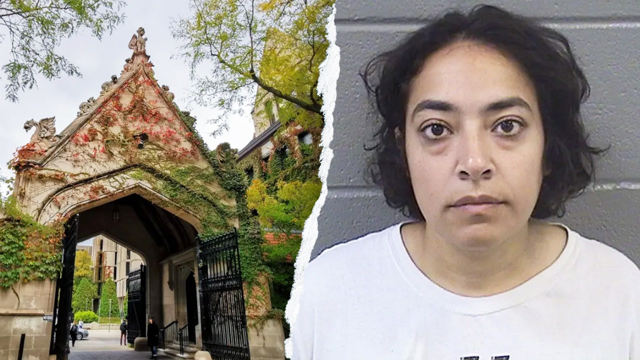 L'Université de Chicago reste silencieuse sur un professeur arrêté lors d'un rassemblement anti-ICE