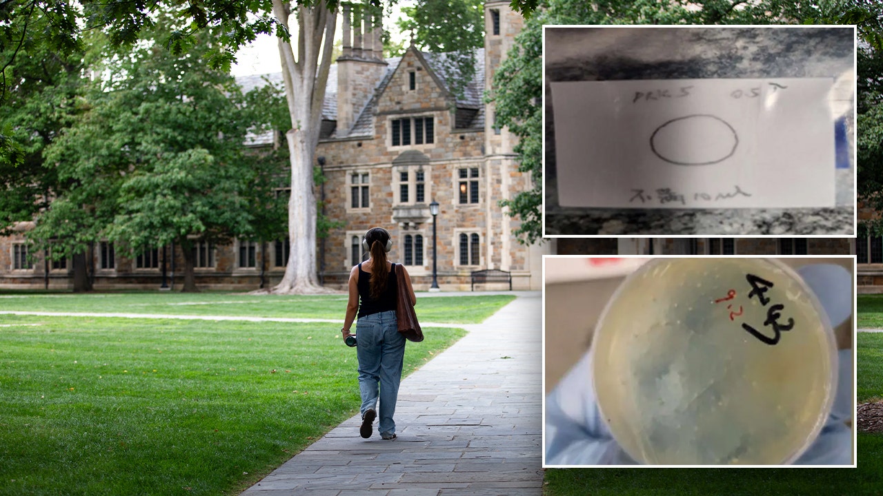 Trois ressortissants chinois inculpés dans une affaire de trafic de produits biologiques : ce que nous savons