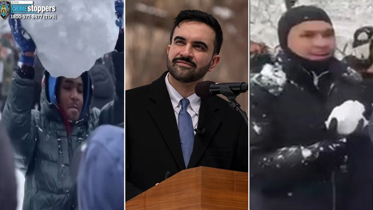 Une image de Zohran Mamdani est flanquée d'images de suspects de boule de neige