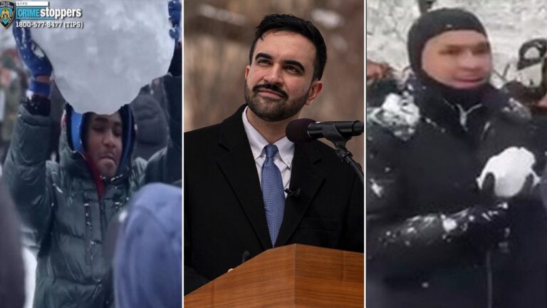 La bataille de boules de neige à Washington Square Park mène à une deuxième arrestation